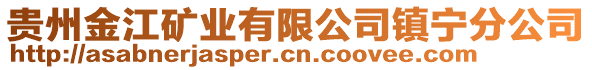 貴州金江礦業(yè)有限公司鎮(zhèn)寧分公司