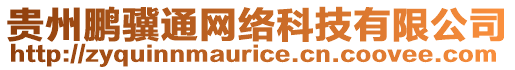 貴州鵬驥通網(wǎng)絡(luò)科技有限公司