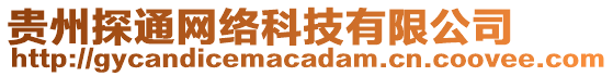 貴州探通網(wǎng)絡(luò)科技有限公司