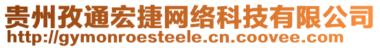 貴州孜通宏捷網(wǎng)絡(luò)科技有限公司