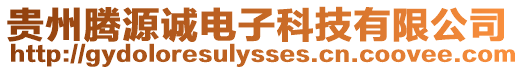 貴州騰源誠電子科技有限公司