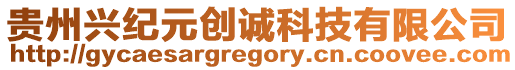 貴州興紀(jì)元?jiǎng)?chuàng)誠科技有限公司