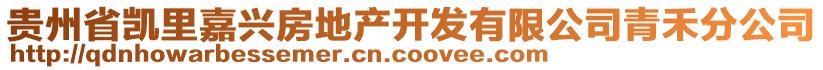 貴州省凱里嘉興房地產(chǎn)開(kāi)發(fā)有限公司青禾分公司