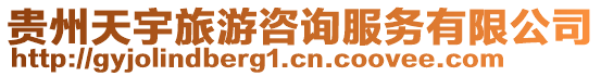 貴州天宇旅游咨詢服務(wù)有限公司