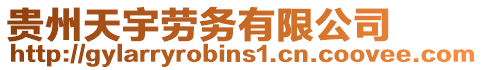 貴州天宇勞務有限公司