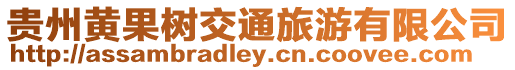 貴州黃果樹交通旅游有限公司