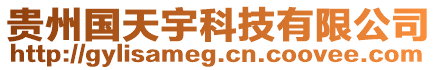 貴州國天宇科技有限公司