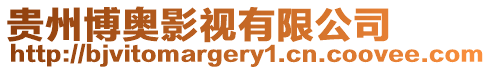貴州博奧影視有限公司