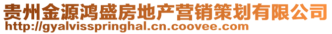 貴州金源鴻盛房地產營銷策劃有限公司