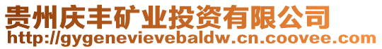 貴州慶豐礦業投資有限公司