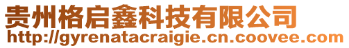 貴州格啟鑫科技有限公司