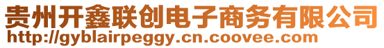 貴州開鑫聯(lián)創(chuàng)電子商務有限公司