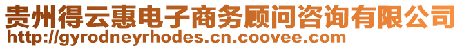 貴州得云惠電子商務(wù)顧問咨詢有限公司