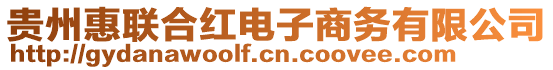 貴州惠聯(lián)合紅電子商務(wù)有限公司