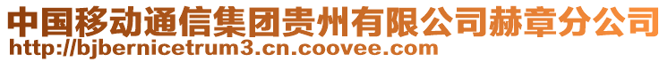 中國移動通信集團貴州有限公司赫章分公司