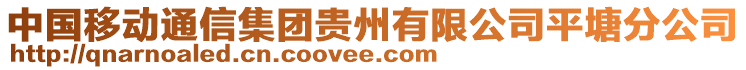 中國移動通信集團貴州有限公司平塘分公司