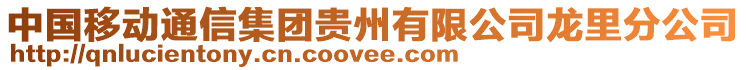 中國移動通信集團貴州有限公司龍里分公司