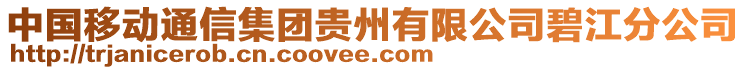 中國移動通信集團貴州有限公司碧江分公司