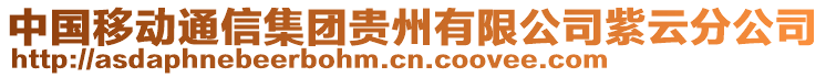 中國(guó)移動(dòng)通信集團(tuán)貴州有限公司紫云分公司