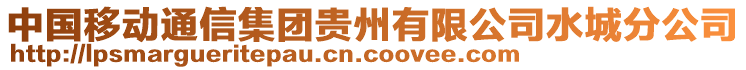 中國(guó)移動(dòng)通信集團(tuán)貴州有限公司水城分公司