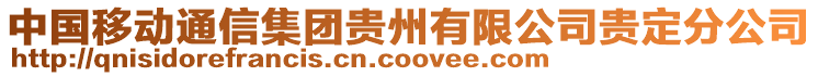 中國移動通信集團貴州有限公司貴定分公司