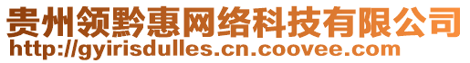 貴州領黔惠網絡科技有限公司