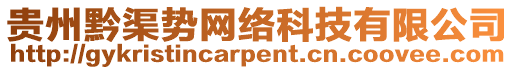 貴州黔渠勢網(wǎng)絡(luò)科技有限公司