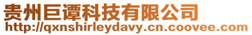 貴州巨譚科技有限公司