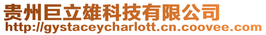 貴州巨立雄科技有限公司