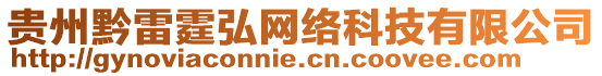 貴州黔雷霆弘網絡科技有限公司