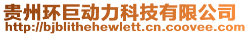 貴州環巨動力科技有限公司