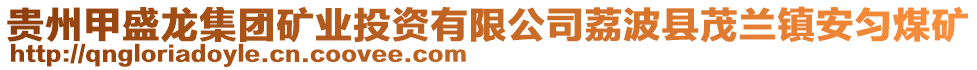 貴州甲盛龍集團(tuán)礦業(yè)投資有限公司荔波縣茂蘭鎮(zhèn)安勻煤礦