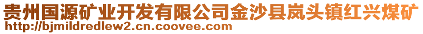 貴州國源礦業(yè)開發(fā)有限公司金沙縣嵐頭鎮(zhèn)紅興煤礦