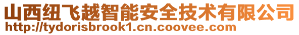 山西紐飛越智能安全技術有限公司