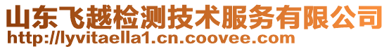 山東飛越檢測技術服務有限公司