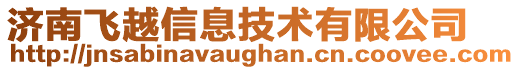 濟南飛越信息技術(shù)有限公司