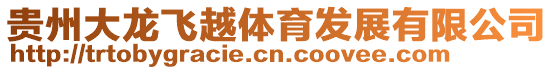 貴州大龍飛越體育發(fā)展有限公司