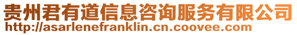 貴州君有道信息咨詢服務(wù)有限公司