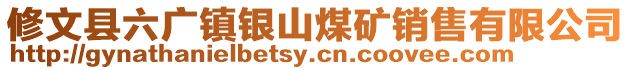 修文縣六廣鎮(zhèn)銀山煤礦銷售有限公司