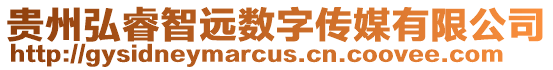 贵州弘睿智远数字传媒有限公司