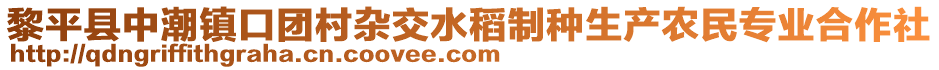 黎平县中潮镇口团村杂交水稻制种生产农民专业合作社