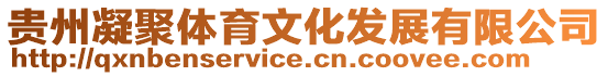 貴州凝聚體育文化發展有限公司