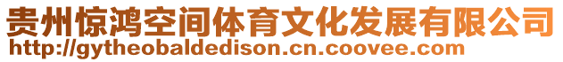 貴州驚鴻空間體育文化發展有限公司
