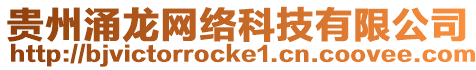 貴州涌龍網絡科技有限公司