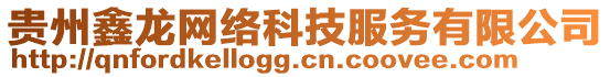 貴州鑫龍網(wǎng)絡(luò)科技服務(wù)有限公司