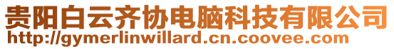 貴陽白云齊協(xié)電腦科技有限公司