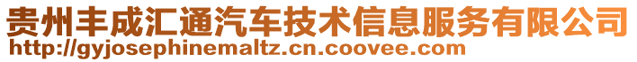 貴州豐成匯通汽車技術(shù)信息服務(wù)有限公司