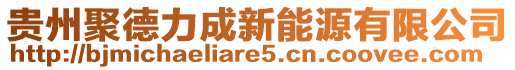 貴州聚德力成新能源有限公司