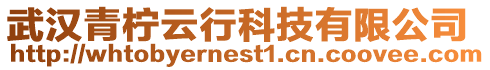 武漢青檸云行科技有限公司