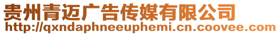 貴州青邁廣告?zhèn)髅接邢薰? style=